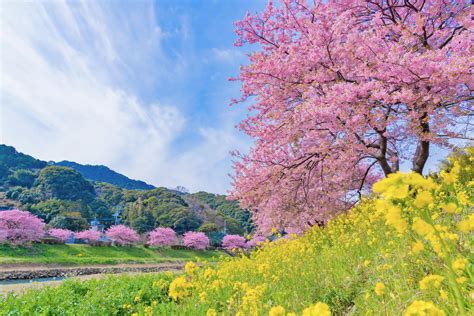 風景